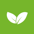 logo-icon
